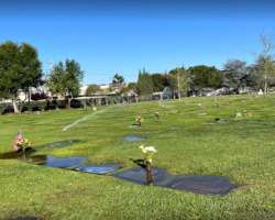 It is one of the largest and well-maintained graveyards in the area. It encompasses an area of more than 13 acres.